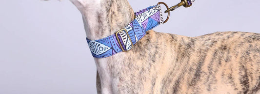 Are Martingale Dog Collars Safe to Use?