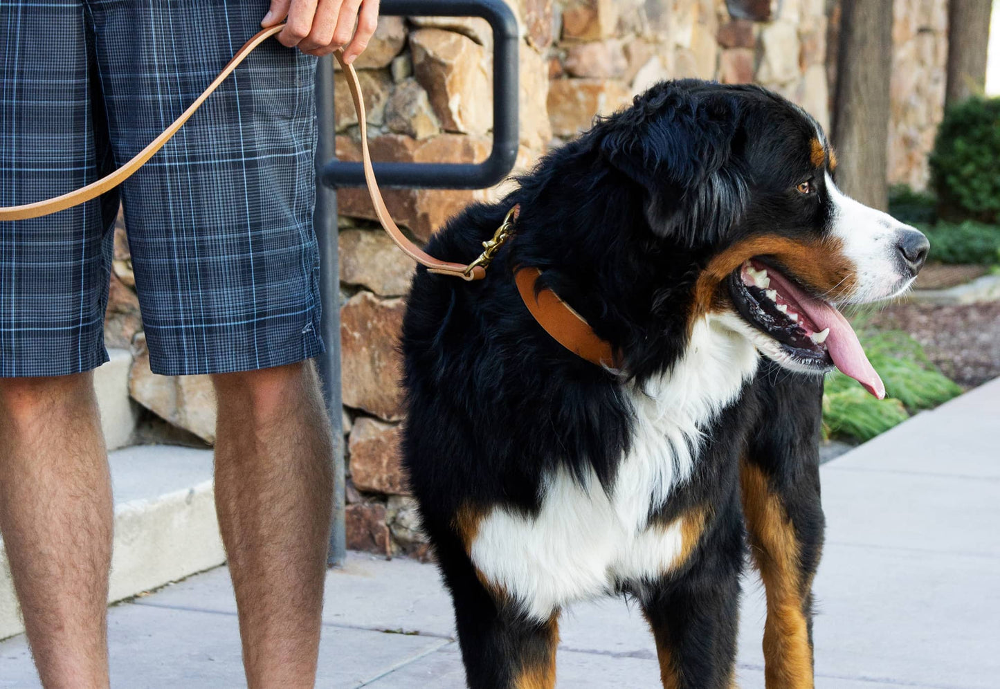 Leather Dog Collar - Handmade in the USA