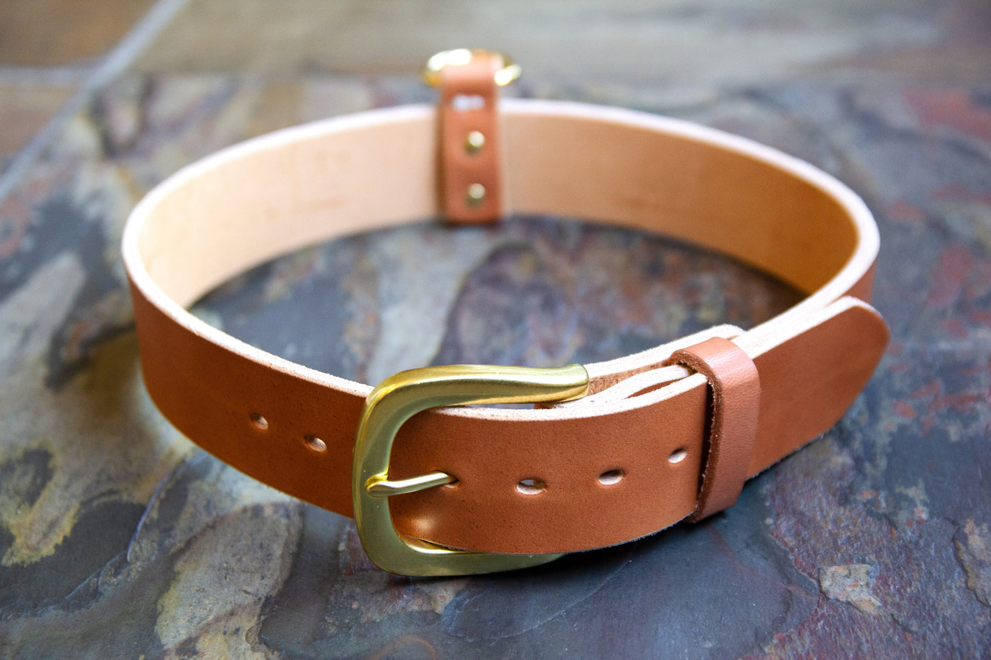 Leather Dog Collar - Handmade in the USA