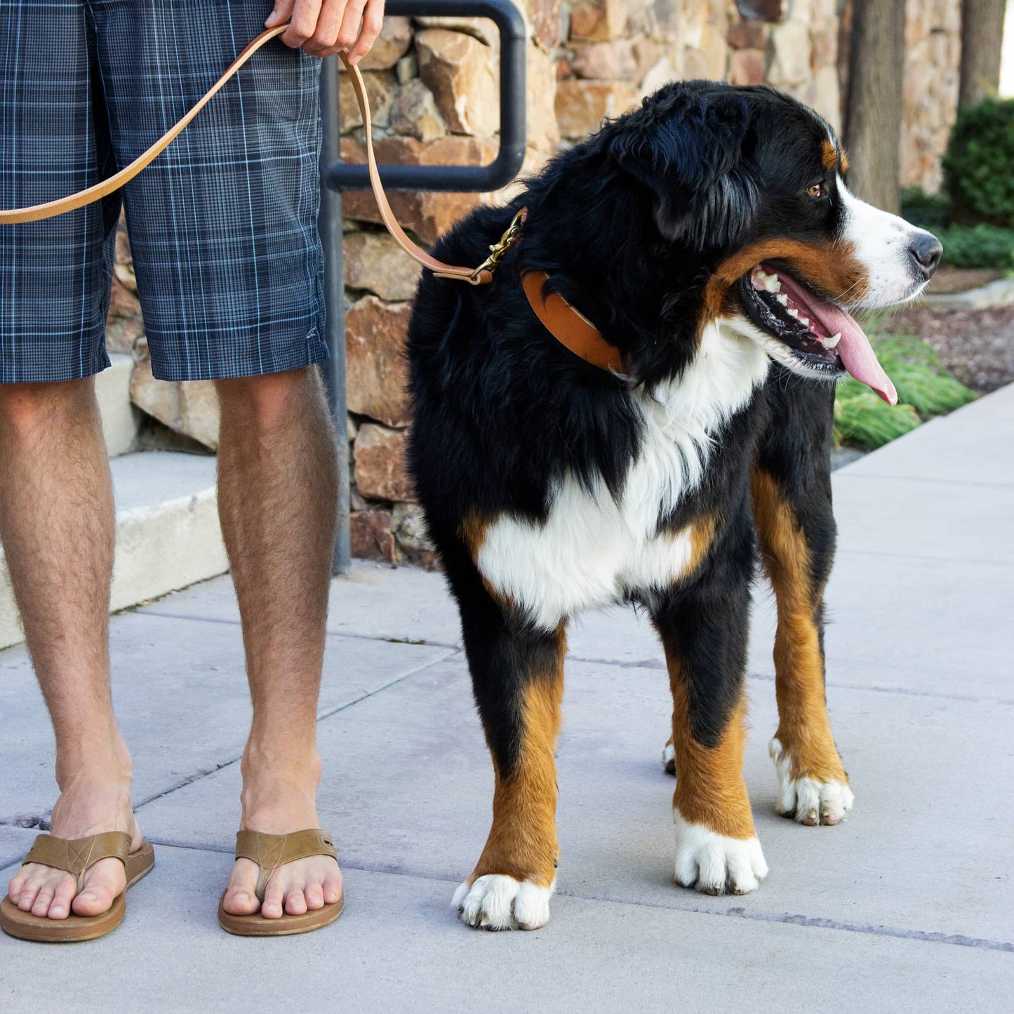 Leather Dog Leash